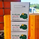 글로리 팜 이미지