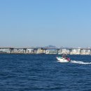 그해 바다 이미지