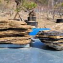 석부농장 이미지