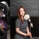 헤어이투