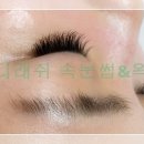 탐나는속눈썹 이미지