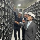 전원1태양광발전소 이미지