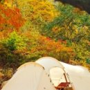 라운드힐 905 이미지