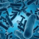 버블버블 | 맥주효모 샴푸 추천 이엠트리 버블폼 후기