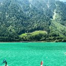 바다로 가는 사람들 이미지