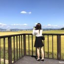 동읍556 | '창원 동읍 무전마을 코스모스' 보러 태풍 콩레이 지난 후에 다녀왔어요~!!