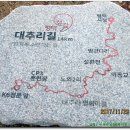 대추리길 이미지