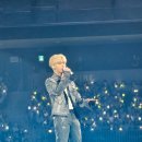 도영약국 | 공연장 시야 | 영종도 인스파이어아레나 1층 114구역, 102구역 (도영 콘서트 기준)