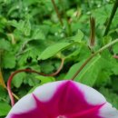 반송공원 이미지