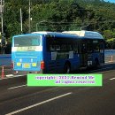 무태조야동 연경분소 이미지