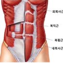팀거너짐 | 날개뼈 사이 '등' 통증! 옥길동 PT "팀거너짐"에서 알려 드립니다! (후기증명)