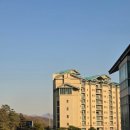 지에스(GS)25 울산하트점 | 곤지암리조트에서의 2박, 화담숲 단풍놀이