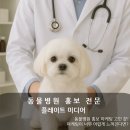 달성축협동물병원 | 동물병원 홍보 어디서부터 시작해야 할지 막막하다면?
