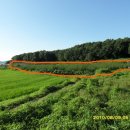 동준농장 이미지