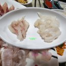 동해회식당 네이버블로그