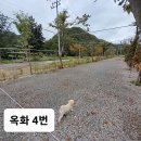 옥화포시즌캠핑장 이미지