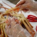 붉은대게 이미지