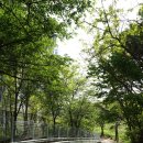 세월천로137번길 이미지