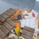 링크애견샵 이미지