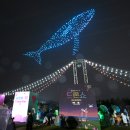 태화강 빛 축제 이미지