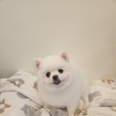 소미미용실 이미지
