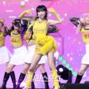 (주)유피트 이미지