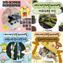 시절십자수 | 광주시 청년지원센터 취미 개발 보석 십자수 키트 후기