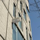 염색공간 | 웨딩 촬영 염색 | 샵꽁뜨 합정점 고은 원장님 실버브라운 염색 후기 🩶