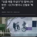 "요즘 애들 무섭다"던 할머니의 반전…CCTV 봤더니 신발로 ‘퍽 이미지