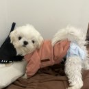 정들었던 광주를 떠나며...