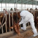 정선가축병원 이미지