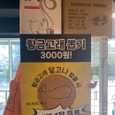 구개들 이미지