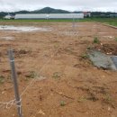 선영이네농장 이미지