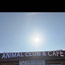 애니멀클럽