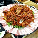 명태혁명 이미지