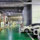 태백한우 이미지