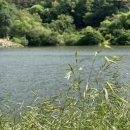 대석저수지 이미지