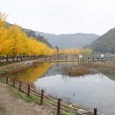 양곡리체험마을 이미지