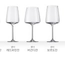 베르비노 이미지