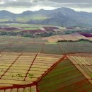 허니문 도어 | 하와이 신혼여행 헬기투어 추천 - 레인보우헬기투어 오픈도어 솔직 후기