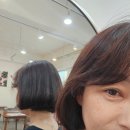 대구대실초등학교 | [대실역미용실 널,그린 헤어] 1:1맞춤케어전문 다사미용실