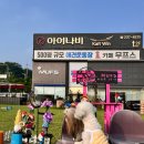 무프스 유치원 이미지