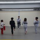 용인대 백호태권도 이미지