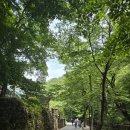 약이 되는 산야초 | 공주 여행 아이랑 2박3일코스 추천