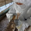 대내농장 이미지