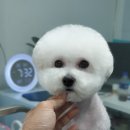그 남자의 grooming # 공간 이미지