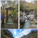 제914차 지리산(뱀사골-반야봉-피아골) 단풍 산행(2026.10.31)10월15일(목)20시부터 신청 이미지