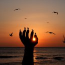 신라문화제-신라가요제 이미지