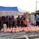한국타이어빛과소금 이미지