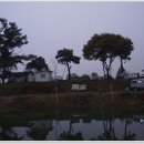 삼성낚시터 이미지